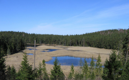 50_Paplateles takas. Sultekio tv. G.Sidabrienes n.jpg